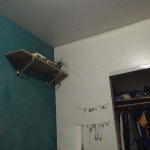 Meet your Posher, Allie